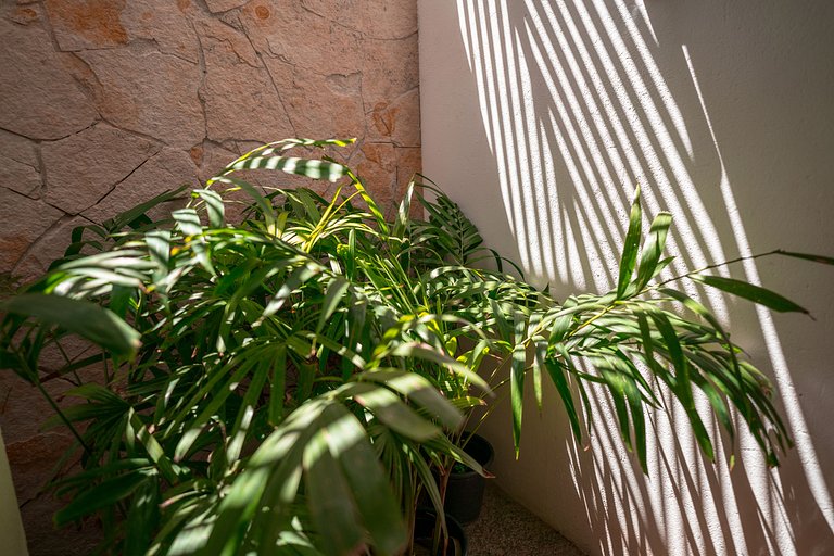 Maale Caraubas Camocim